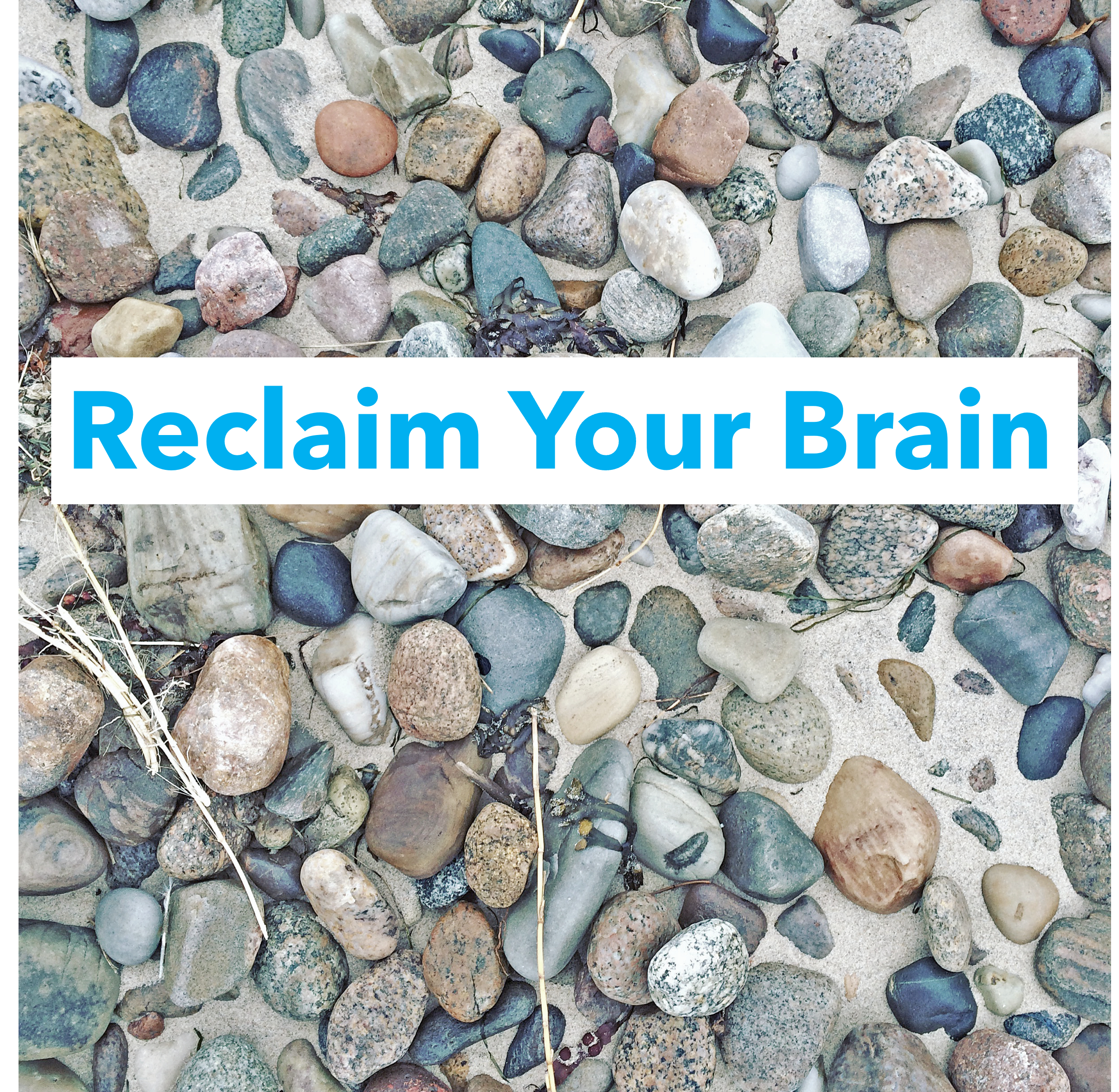 Kurs Reclaim Your Brain