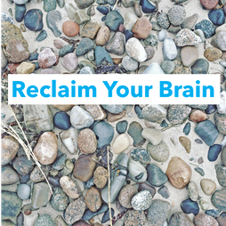 Kurs Reclaim Your Brain
